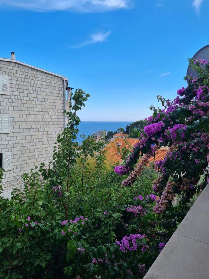Apartments Deranja II Dubrovnik Exteriör bild